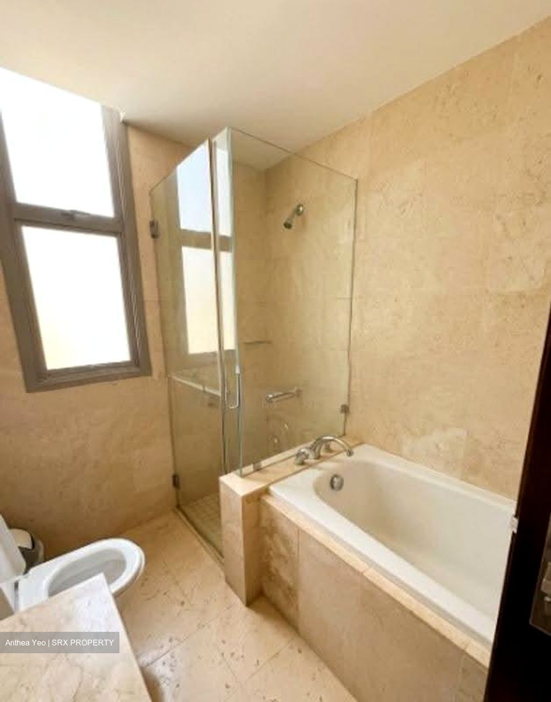 Residences @ Evelyn (D11), Condominium #628636751